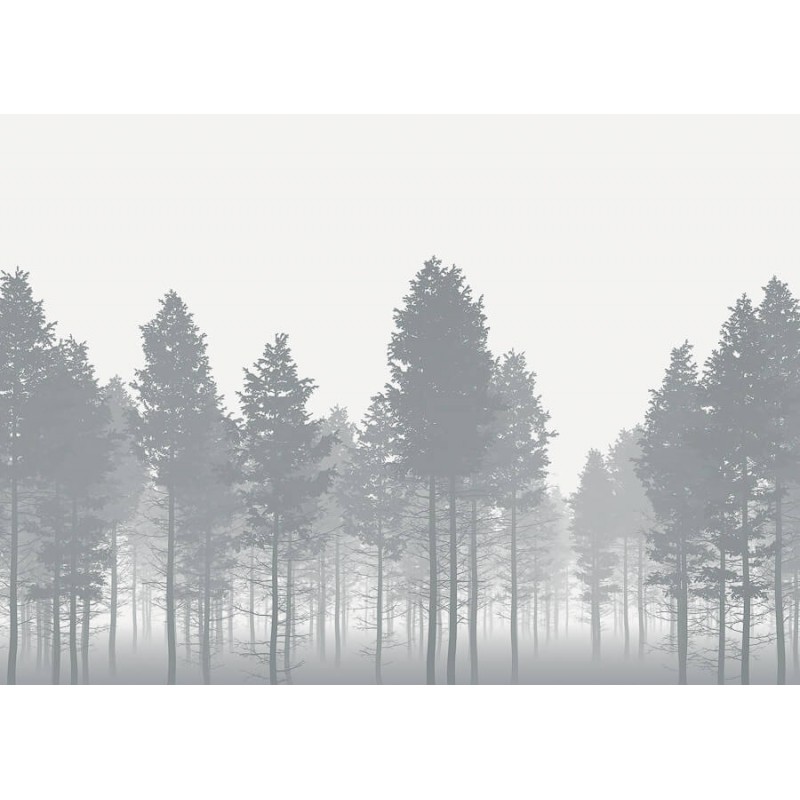 Erdő, fekete fehér fali poszter (350x250 cm) PK10217