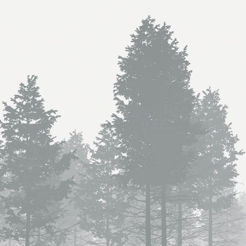 Erdő, fekete fehér fali poszter (350x250 cm) PK10217