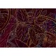 Bordó arany virágok fali poszter (200x280 cm) HK244
