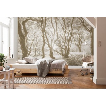Erdő fali poszter (400x250 cm) IFSH4-072