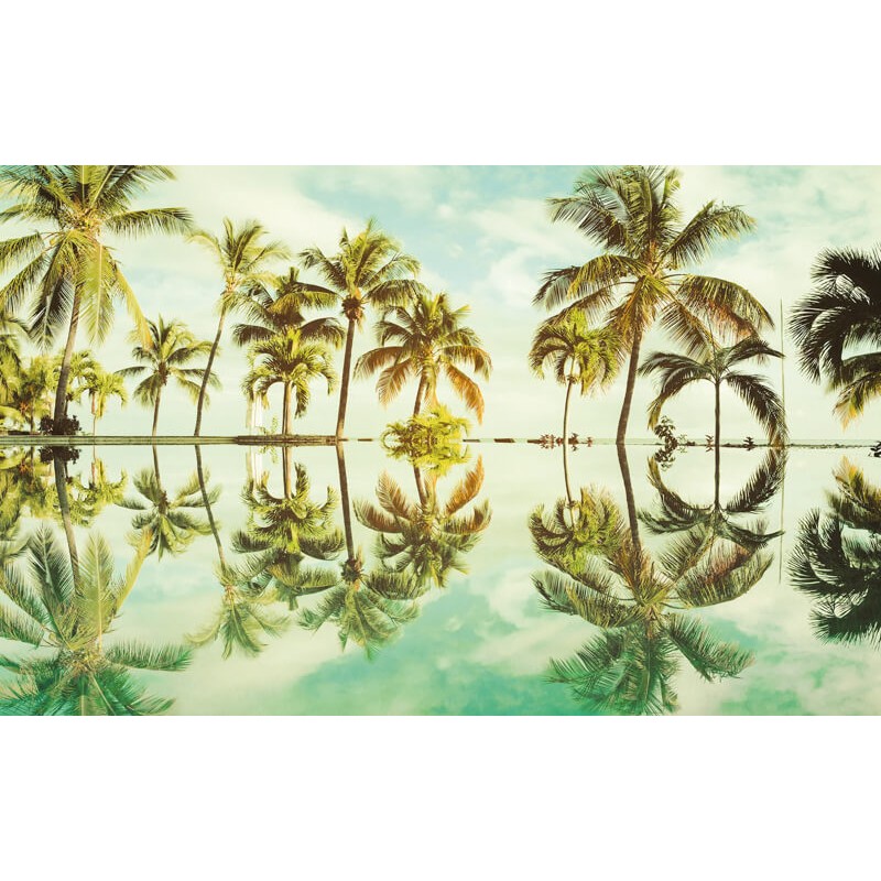 Pálmafák fali poszter zöld (400x250 cm) P012-VD4
