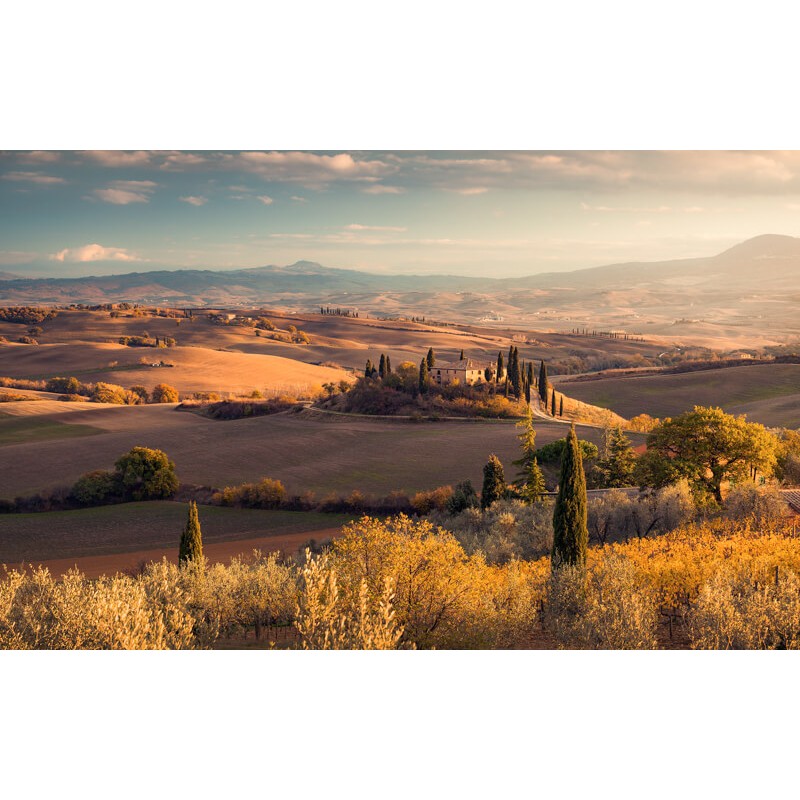Toscana fali poszter (400x250 cm) PSH094-VD4