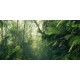 Dzsungel fali poszter (500X250cm) PSH098-VD5