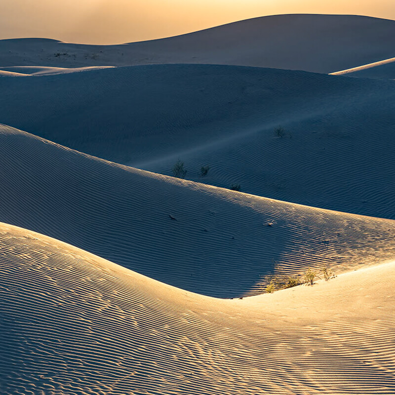 Sivatag fali poszter (500X250cm) PSH105-VD5