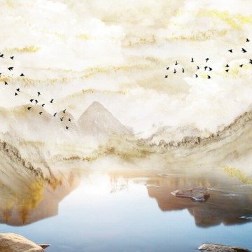 Hegyek, vízpart, madarak design poszter DCV1017