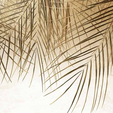 Barna levelek fali poszter DC1291