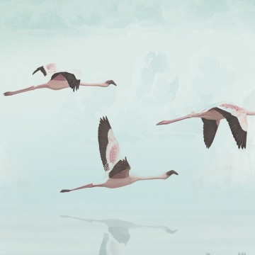Daru madarak pasztell kék fali poszter DC1213