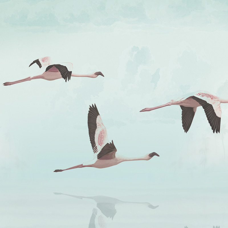 Daru madarak pasztell kék fali poszter DC1213