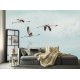 Daru madarak pasztell kék fali poszter DC1213