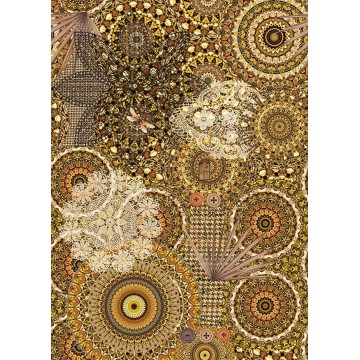 Kör-, és csipkemintás posztertapéta, barna TD4154 (200x280 cm)  (Circle of Life)