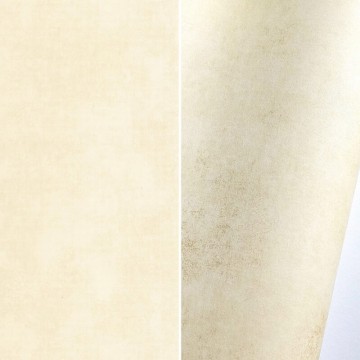 Krémszínű koptatott hatású tapéta 80832002 (Stone)