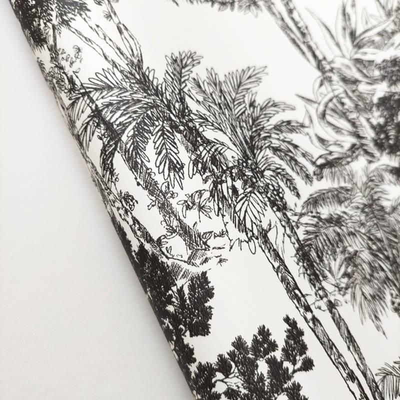 Tapéta trópusi növényekkel fekete fehér 104280974 (Moonlight 2)