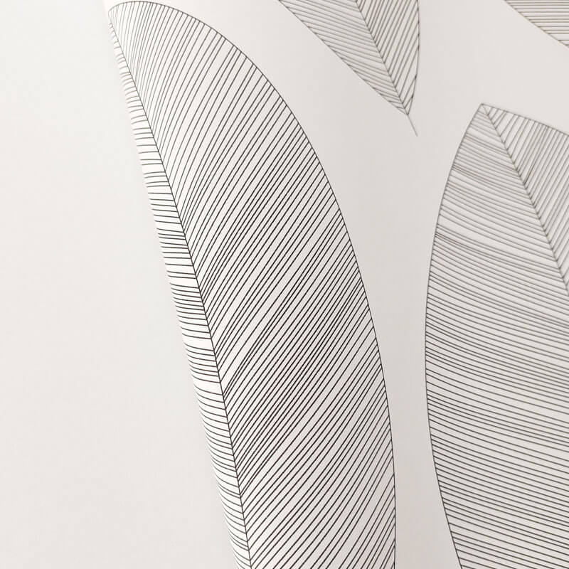 Tapéta fehér alapon rajzolt fekete levelekkel 104310927 (Moonlight 2)