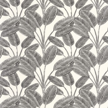 Tapéta fehér alapon fekete levélmintával 104320931 (Moonlight 2)