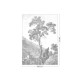 Fekete fehér fa növénymintás posztertapéta, 3 méretben (300X280 cm) (Engraved Landscapes) WP-312
