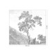 Fekete fehér fa növénymintás posztertapéta, 3 méretben (300X280 cm) (Engraved Landscapes) WP-312