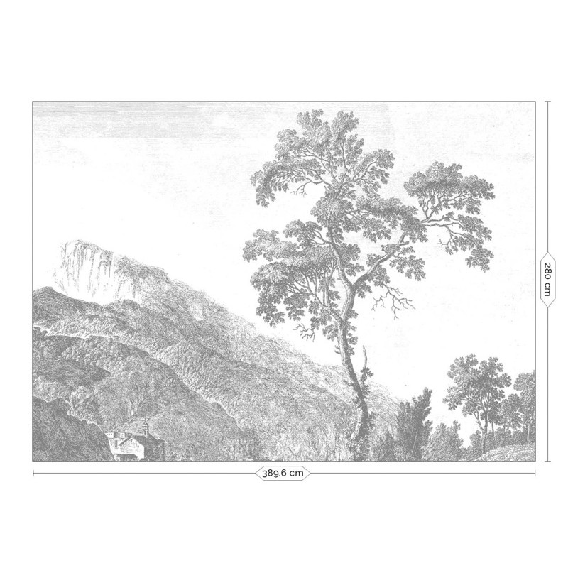 Fekete fehér fa növénymintás posztertapéta, 3 méretben (300X280 cm) (Engraved Landscapes) WP-312
