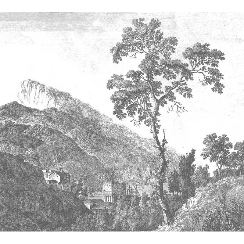 Fekete fehér fa növénymintás posztertapéta, 3 méretben (300X280 cm) (Engraved Landscapes) WP-312