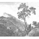 Fekete fehér fa növénymintás posztertapéta, 3 méretben (300X280 cm) (Engraved Landscapes) WP-312