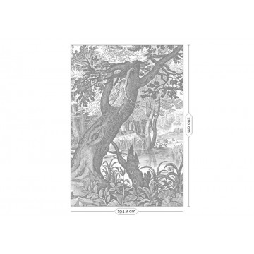 Erdő fekete fehér posztertapéta, 3 méretben (300X280 cm) (Engraved Landscapes) WP-615