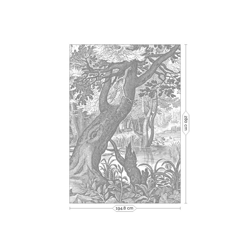 Erdő fekete fehér posztertapéta, 3 méretben (300X280 cm) (Engraved Landscapes) WP-615