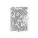 Erdő fekete fehér posztertapéta, 3 méretben (300X280 cm) (Engraved Landscapes) WP-615