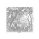 Erdő fekete fehér posztertapéta, 3 méretben (300X280 cm) (Engraved Landscapes) WP-615