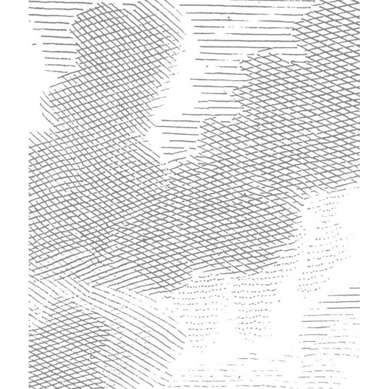 Felhők fekete fehér posztertapéta, 3 méretben (300X280 cm) (Engraved Clouds) WP-621