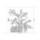 Fekete fehér nagy virágos posztertapéta, 3 méretben (300X280 cm) (Engraved Flowers) WP-669