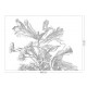 Fekete fehér nagy virágos posztertapéta, 3 méretben (300X280 cm) (Engraved Flowers) WP-669