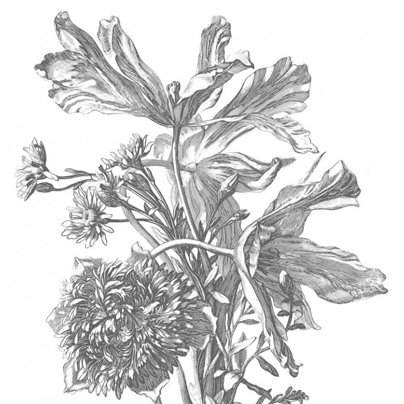 Fekete fehér nagy virágos posztertapéta, 3 méretben (300X280 cm) (Engraved Flowers) WP-669