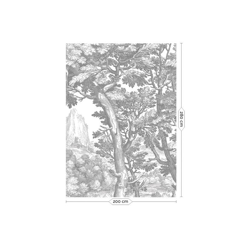 Fekete fehér fa növény mintás posztertapéta, 3 méretben (300X280 cm) (Engraved Landscapes) WP-779