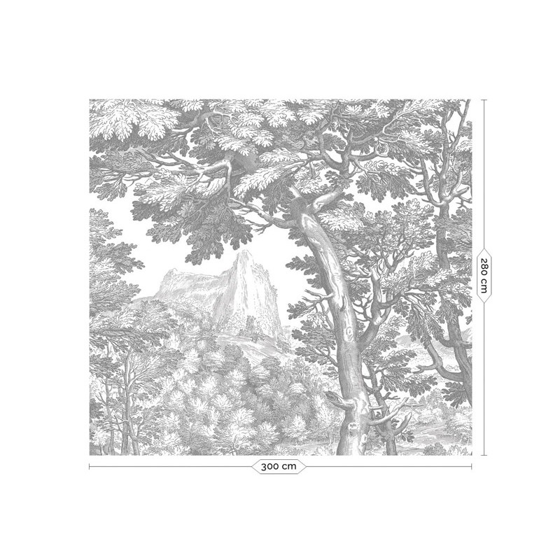 Fekete fehér fa növény mintás posztertapéta, 3 méretben (300X280 cm) (Engraved Landscapes) WP-779
