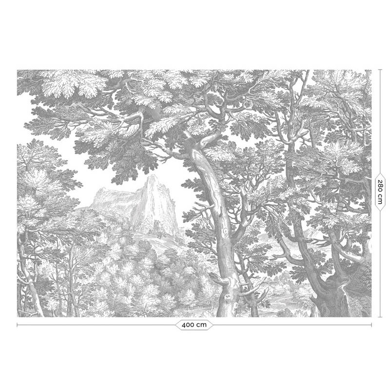 Fekete fehér fa növény mintás posztertapéta, 3 méretben (300X280 cm) (Engraved Landscapes) WP-779