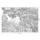 Fekete fehér fa növény mintás posztertapéta, 3 méretben (300X280 cm) (Engraved Landscapes) WP-779