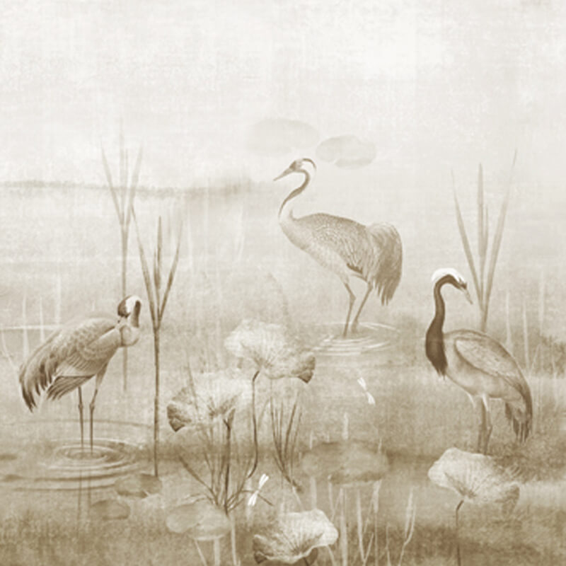 Barna fali poszter madarakkal DGIUM102 (381X300 cm)