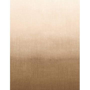 Barna fali poszter színátmenettel DGMIT101 (127X300 cm)