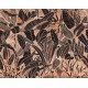 Fali poszter barna rajzolt levelekkel DG3GRA102 (381X300cm)