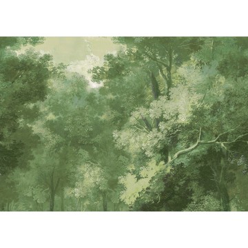 Fák élénk zöld posztertapéta DG4WOO102 (424X260 vagy 300 cm)